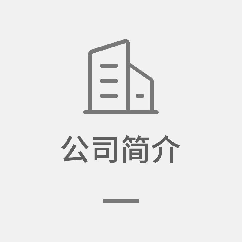 金蒂健公司简介